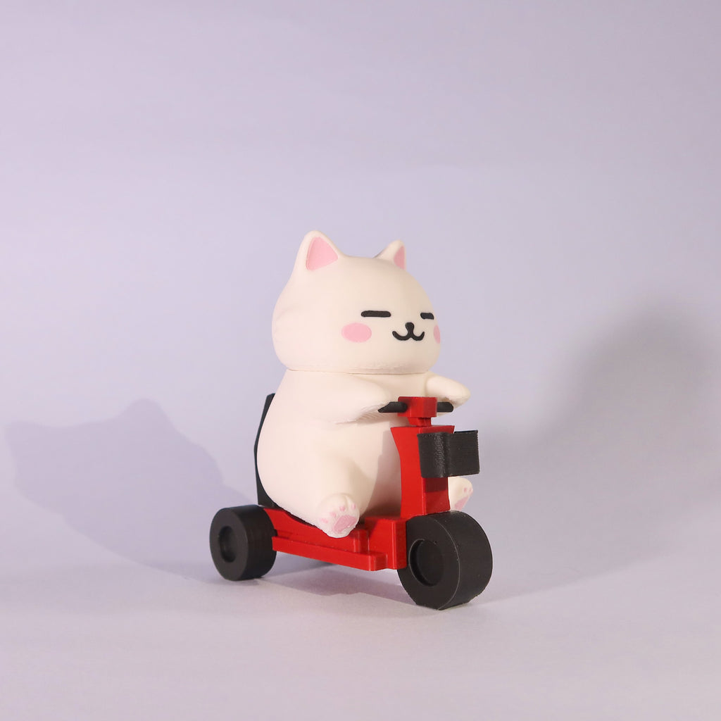 胖貓六號