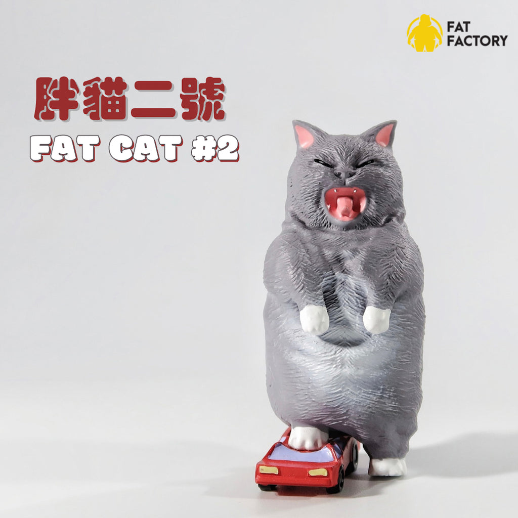 胖貓二號
